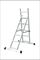 Baugerüst-Rohr Aluminium-Marine Boarding Ladder fournisseur